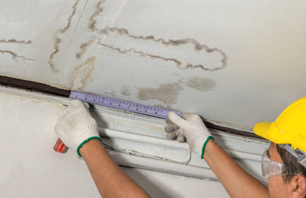 Reliable Basement Water Removal contractor in Clarksburg, WV by Water Damage Irwin